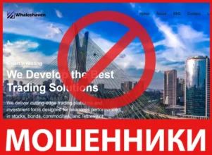 Whaleshaven лицевая сторона скрин