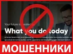 Farmer Metall Groth лицевая сторона скрин