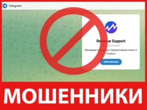 Revenue Support лицевая сторона скрин
