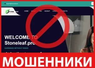 Stoneleaf лицевая сторона скрин